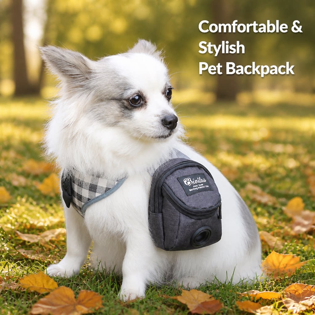 Small dog wearing a lightweight grey backpack for daily walks outdoors