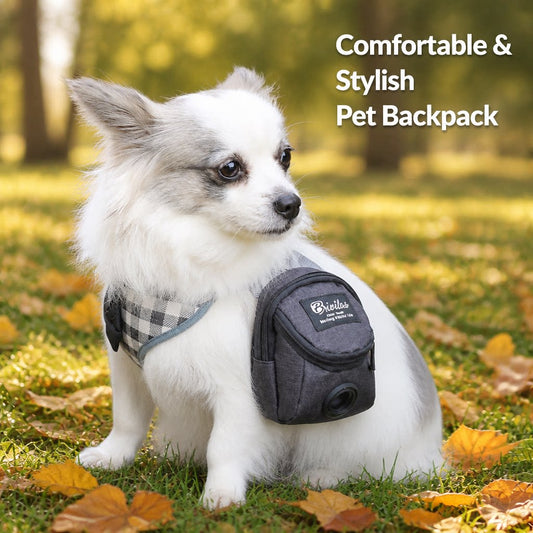 Small dog wearing a lightweight grey backpack for daily walks outdoors
