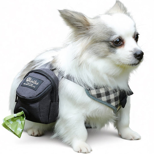 Small dog wearing a grey dog walking backpack with built-in poop bag dispenser